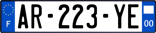 AR-223-YE