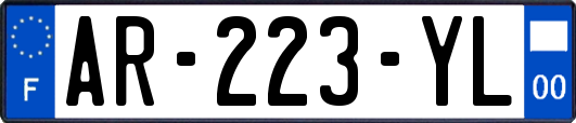 AR-223-YL