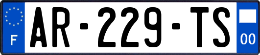 AR-229-TS