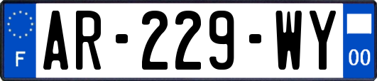 AR-229-WY