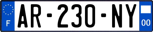 AR-230-NY