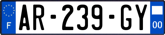 AR-239-GY