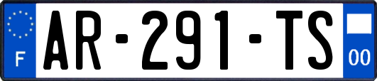 AR-291-TS