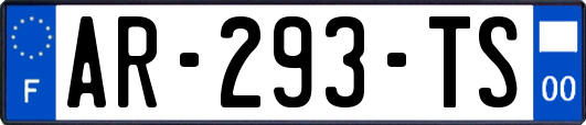 AR-293-TS
