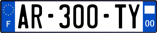 AR-300-TY
