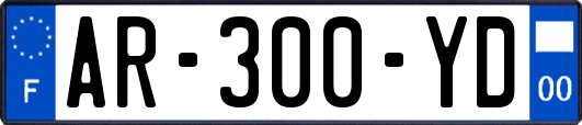 AR-300-YD