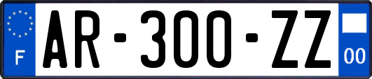 AR-300-ZZ