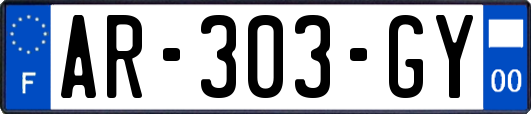 AR-303-GY