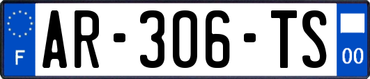 AR-306-TS
