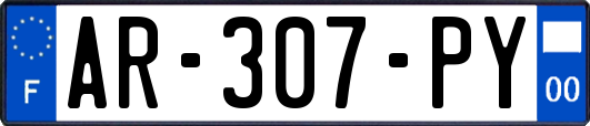 AR-307-PY