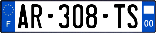 AR-308-TS