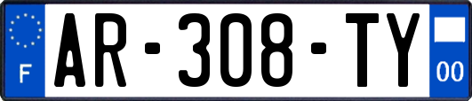 AR-308-TY