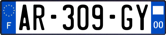 AR-309-GY