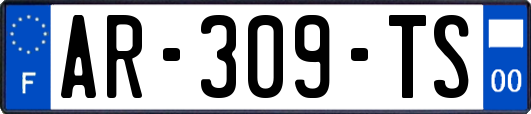 AR-309-TS