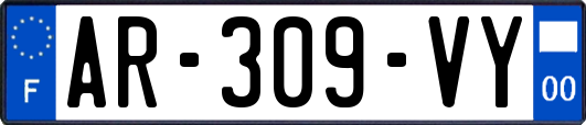 AR-309-VY