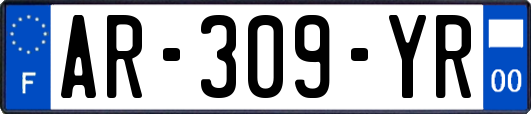AR-309-YR