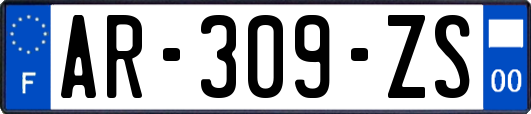 AR-309-ZS