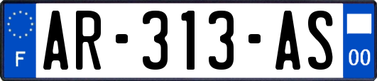 AR-313-AS