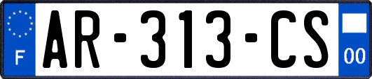 AR-313-CS