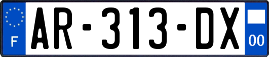 AR-313-DX