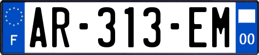 AR-313-EM