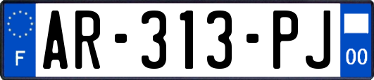 AR-313-PJ
