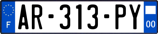 AR-313-PY