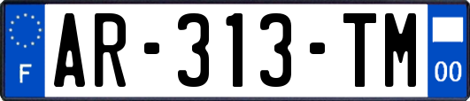 AR-313-TM
