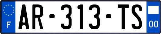 AR-313-TS