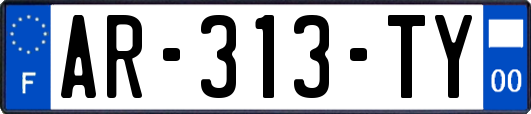 AR-313-TY