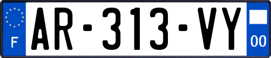 AR-313-VY