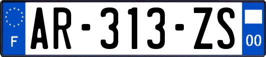 AR-313-ZS