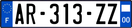 AR-313-ZZ