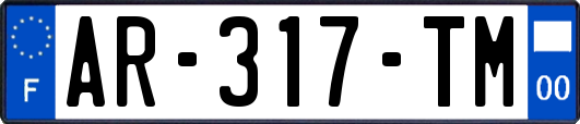 AR-317-TM