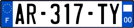 AR-317-TY