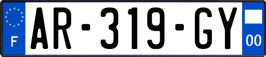 AR-319-GY