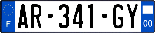 AR-341-GY