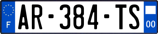 AR-384-TS