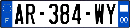 AR-384-WY