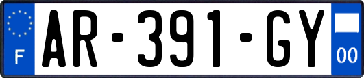 AR-391-GY