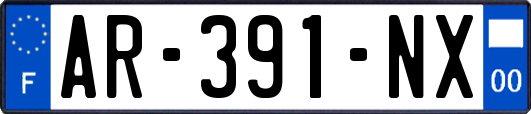 AR-391-NX