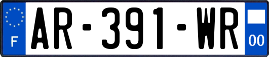 AR-391-WR