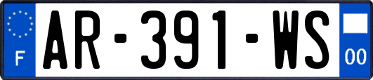 AR-391-WS
