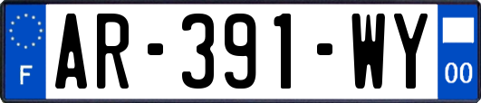 AR-391-WY