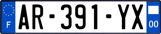 AR-391-YX