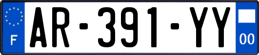 AR-391-YY