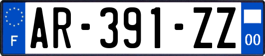 AR-391-ZZ