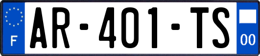 AR-401-TS