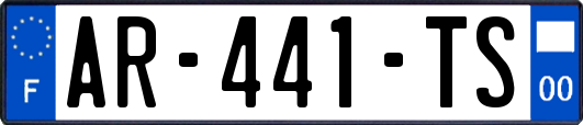 AR-441-TS