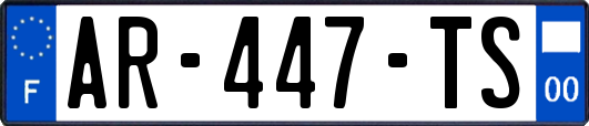 AR-447-TS